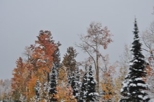 Rocky Mtn Autumn Snows